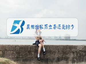 属相按农历立春还是除夕算