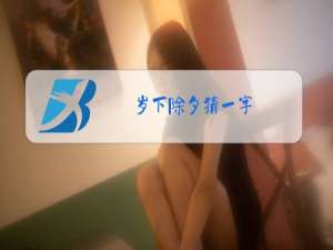 岁下除夕猜一字