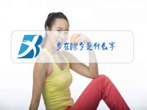 岁在除夕是什么字