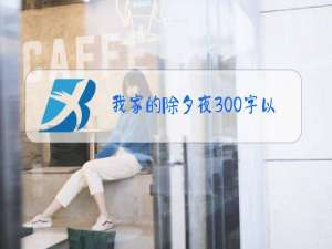 我家的除夕夜300字以上