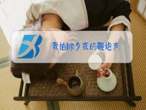 我怕除夕夜的鞭炮声