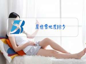 屋檐雪地度除夕