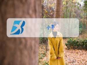 小年,腊八,除夕,元宵节,春节