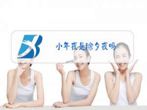 小年夜是除夕夜吗