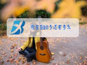 现在到除夕还有多久