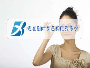 现在到除夕还有几天多少个小时