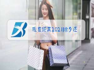 现在距离2021除夕还有多少天