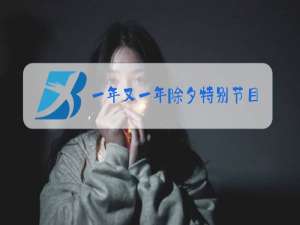 一年又一年除夕特别节目
