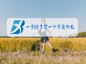 一岁除夕打一个字是什么