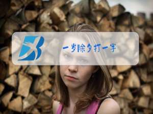 一岁除夕打一字