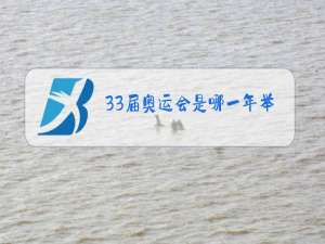 33届奥运会是哪一年举行的