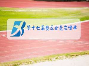 第十七届奥运会是在哪举行的