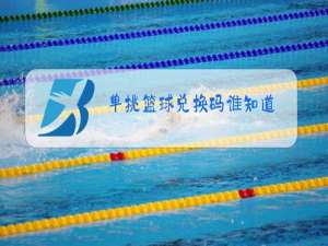 单挑篮球兑换码谁知道