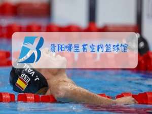 贵阳哪里有室内篮球馆