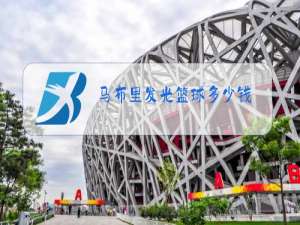 马布里发光篮球多少钱