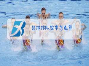 篮球球队效率怎么算