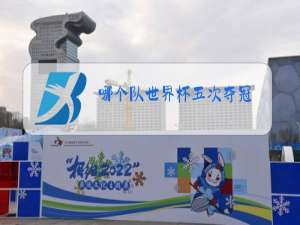 哪个队世界杯五次夺冠