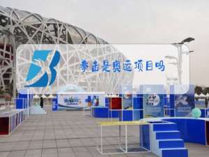 拳击是奥运项目吗