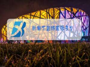 斯伯丁篮球直径多少