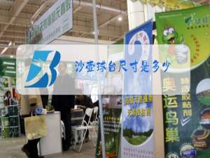 沙壶球台尺寸是多少