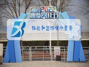 体能和篮球哪个重要