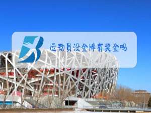 运动员没金牌有奖金吗