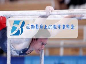 运动员身上的数字名称是什么