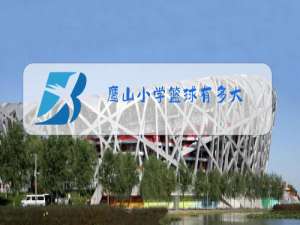 鹰山小学篮球有多大