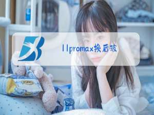 11promax换后玻璃