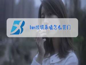 bim玻璃幕墙怎么装门