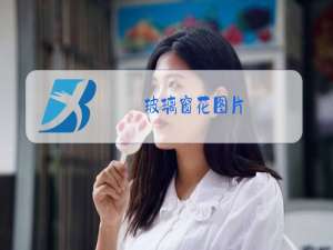 玻璃窗花图片