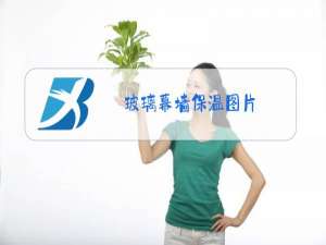 玻璃幕墙保温图片