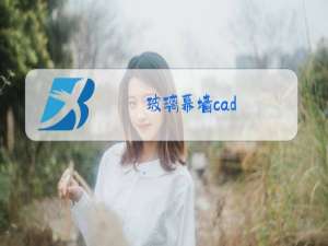 玻璃幕墙cad