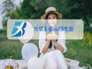 玻璃幕墙cad深化图