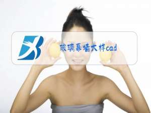 玻璃幕墙大样cad