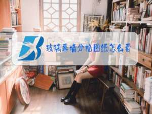 玻璃幕墙分格图纸怎么看