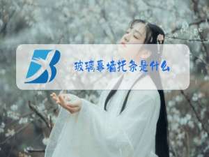 玻璃幕墙托条是什么