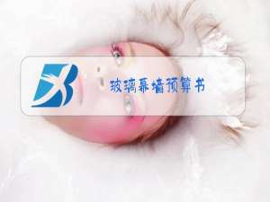 玻璃幕墙预算书