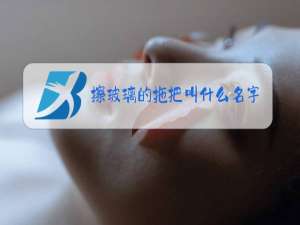 擦玻璃的拖把叫什么名字