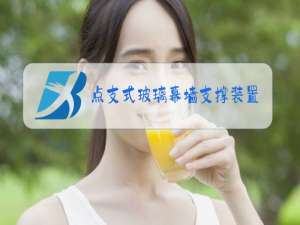 点支式玻璃幕墙支撑装置jg138-2016