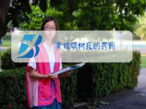 黄玻璃树皮的药用