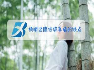 横明竖隐玻璃幕墙的缺点