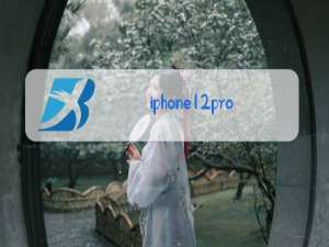 iphone12pro max换后盖玻璃怎样看出来