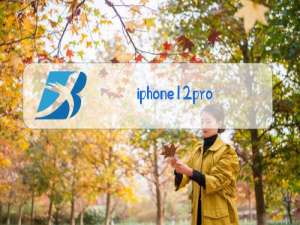 iphone12pro max换后盖玻璃