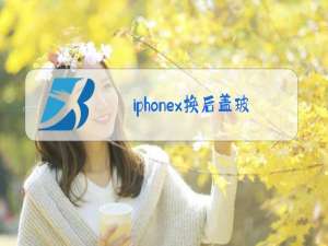 iphonex换后盖玻璃教程