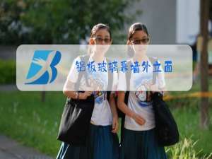 铝板玻璃幕墙外立面