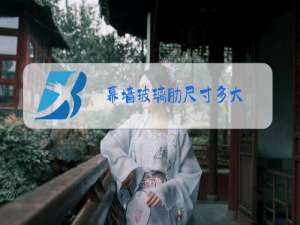 幕墙玻璃肋尺寸多大