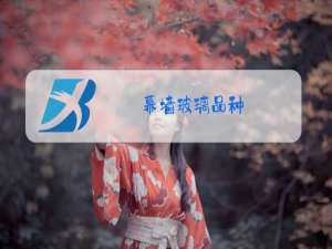 幕墙玻璃品种