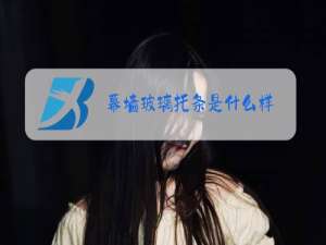 幕墙玻璃托条是什么样