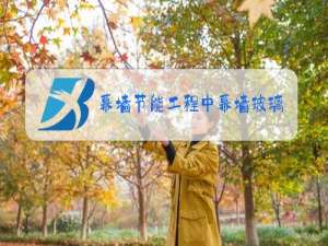 幕墙节能工程中幕墙玻璃的什么应符合设计要求